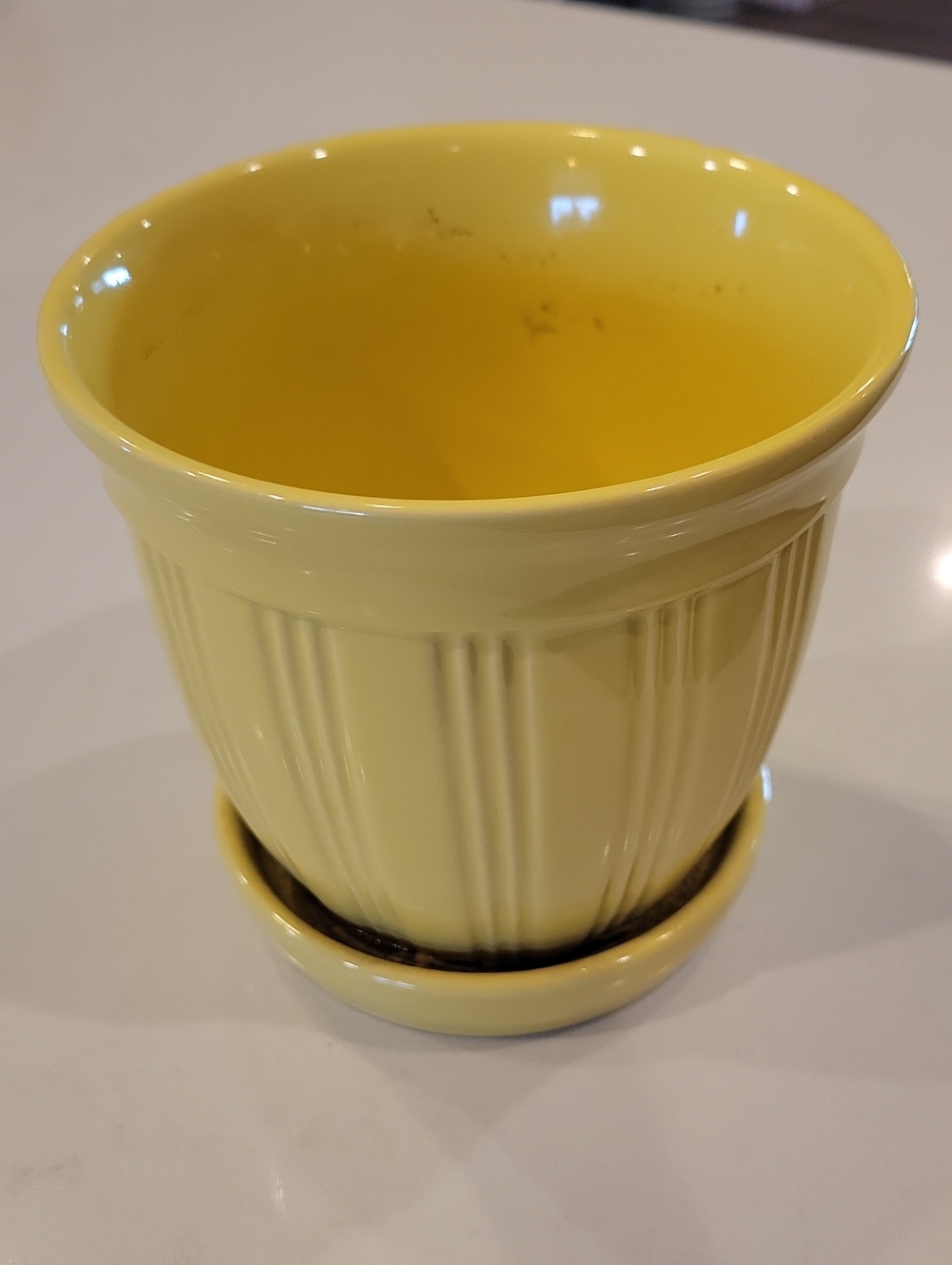 Buttercup Yellow Flower Pot With Drainage Tray